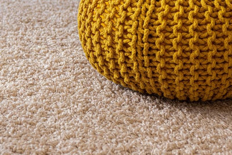 Creating a Memorable First Impression: Carpet, Upholstery and Furniture Cleaning Tips & Tricks