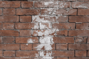 Efflorescence on brick wall.