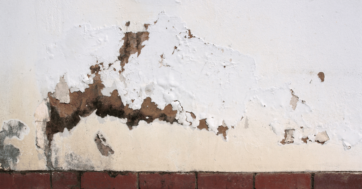 Rising Damp and How To Identify It