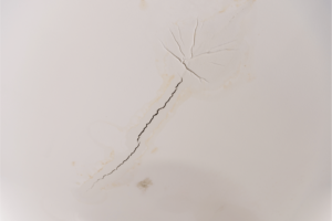 Trace and Access Cover - Ceiling Leak.