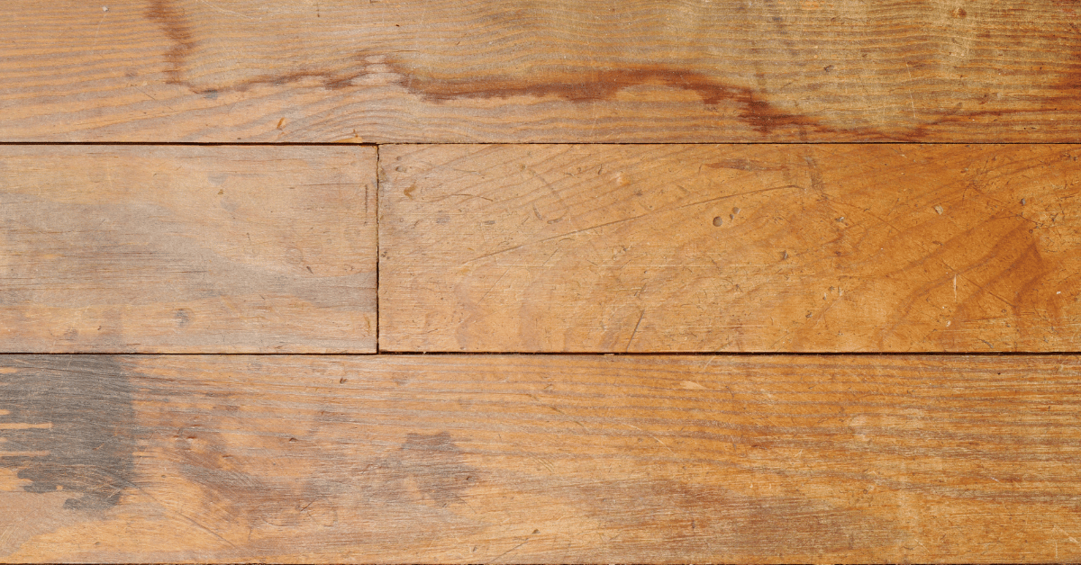 How to Fix Water-Damaged Floors: Expert Tips & DIY Guide
