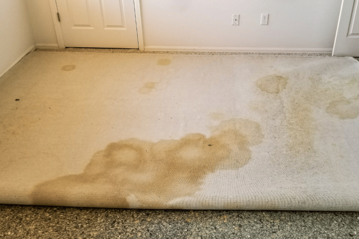 Curated visual reference: How To Fix Water Damaged Floors Expert Tips DIY Guide Photo Inspiration