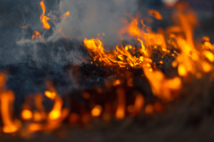 Extreme Weather in Britain - Fires.