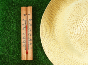 Extreme Weather in Britain - Heat Wave.