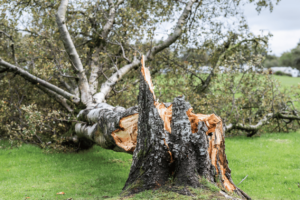 Extreme Weather in Britain - Storm.